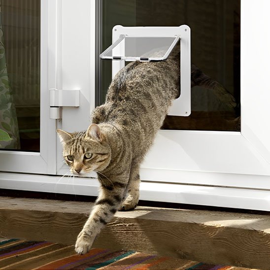 chatière pour chat