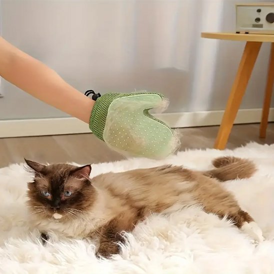 Gant de toilettage