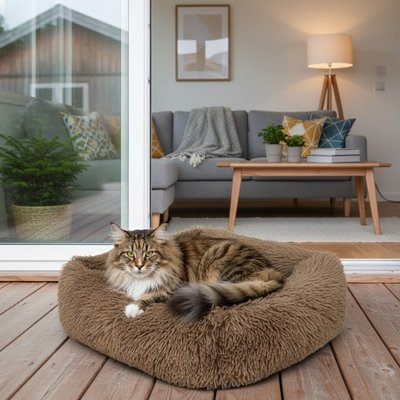 Lit pour Chat