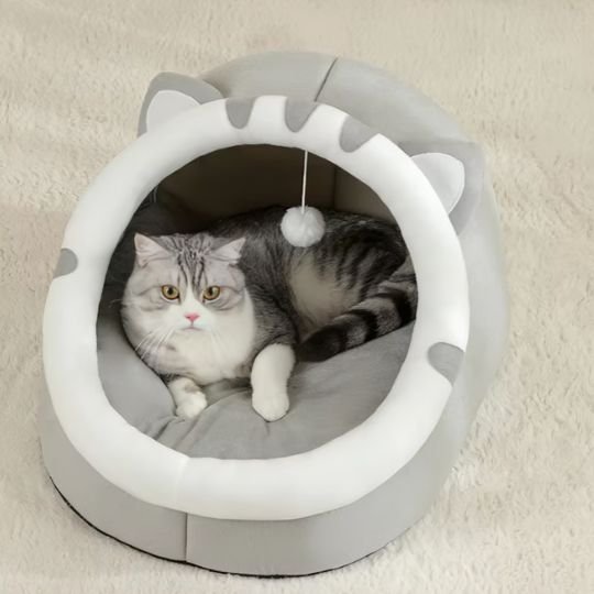Lit pour chat