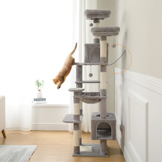 Arbre à chat