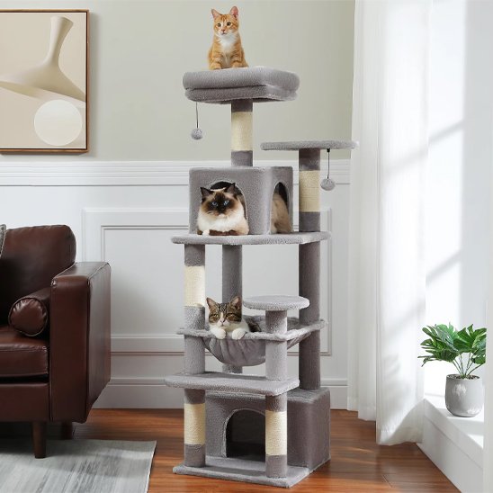 Arbre à chat