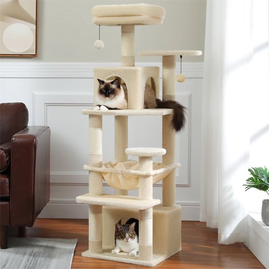 Arbre à chat