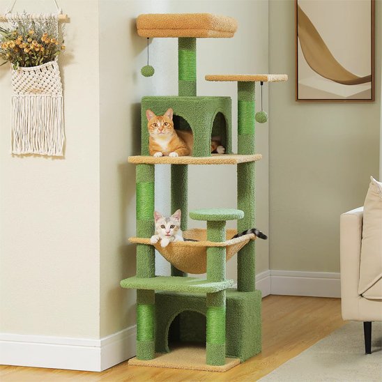 Arbre à chat