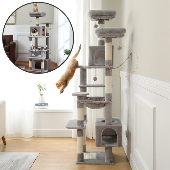 Arbre à chat