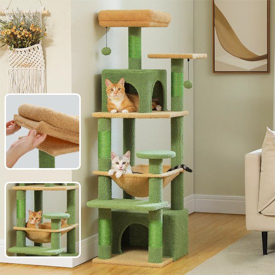 Arbre à chat