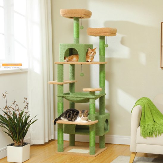 Arbre à chat