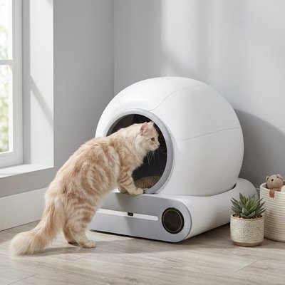 Bac litière Chat