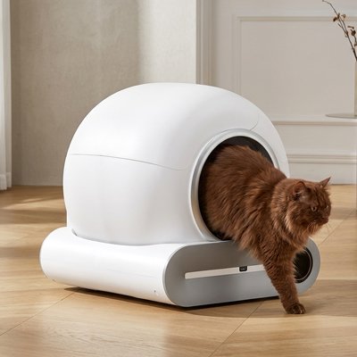 Bac litière Chat