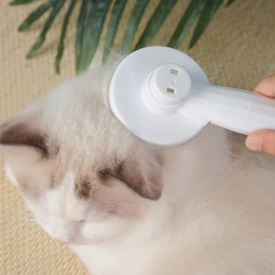 Brosse chat 