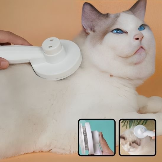 Brosse chat 