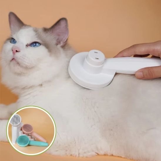 Brosse chat 
