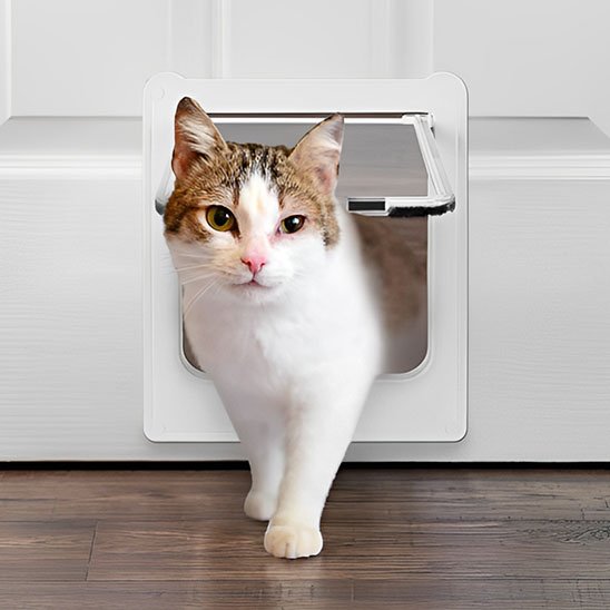 chatière pour chat