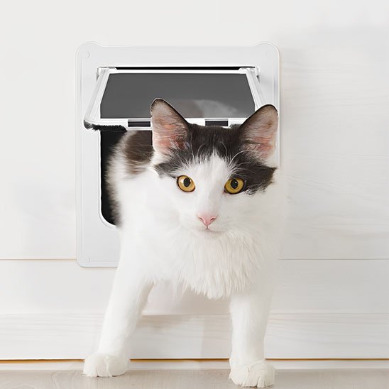 chatière pour chat
