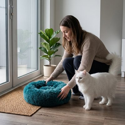Coussin Chat 