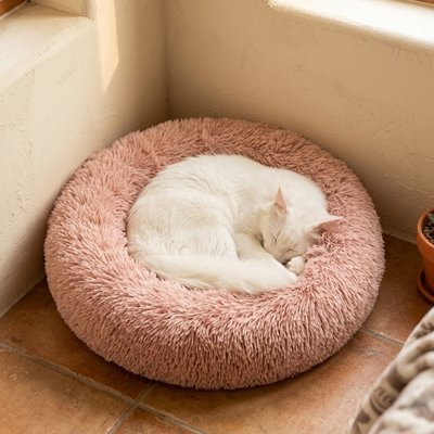 Coussin pour Chat 