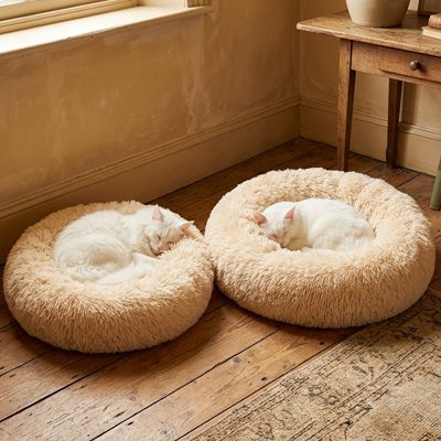 Coussin pour Chat 