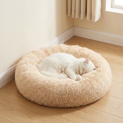 Coussin pour Chat 