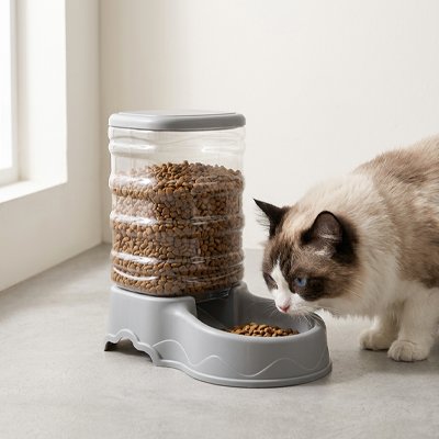 Distributeur croquettes Chat
