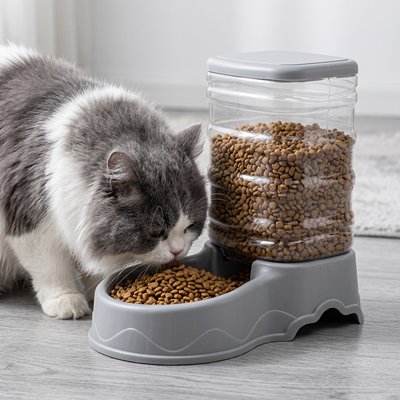 Distributeur croquettes Chat