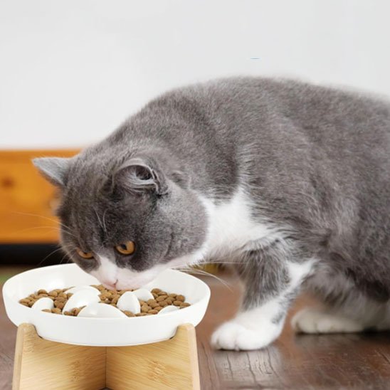 gamelle anti glouton chat
