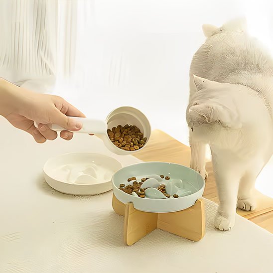 gamelle anti glouton chat