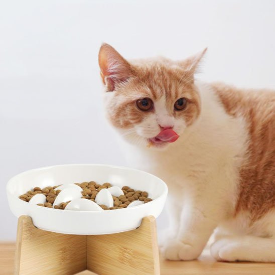 gamelle anti glouton chat