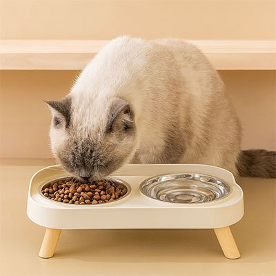 Gamelle pour chat