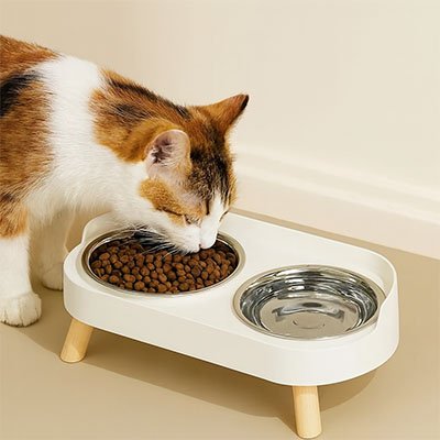 Gamelle pour chat