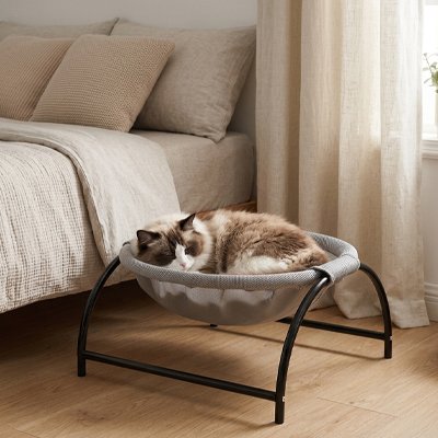 Hamac Chat