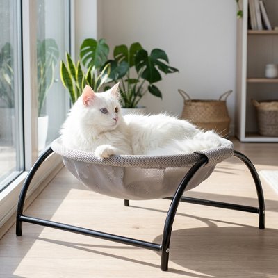 Hamac Chat
