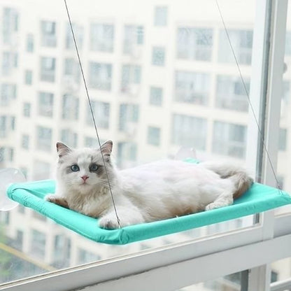 Hamac pour chat