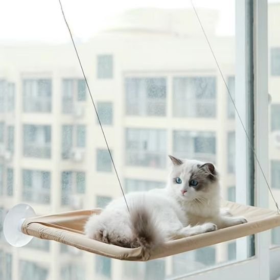 Hamac pour chat
