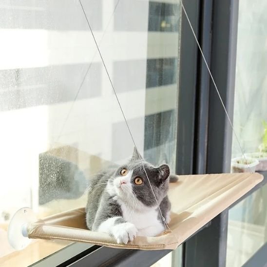 Hamac pour chat