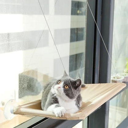 Hamac pour chat
