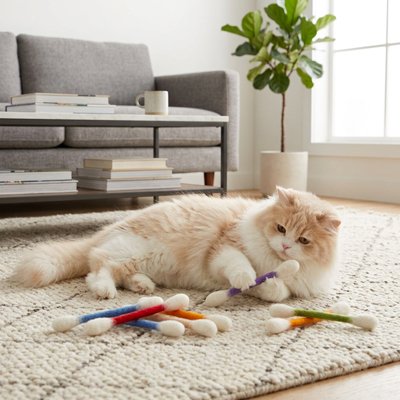 Jeu pour Chat