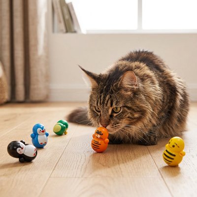 Jouet pour Chat