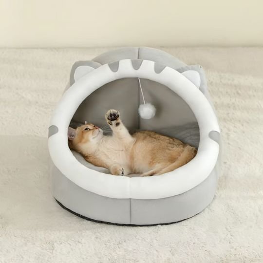 Lit pour chat