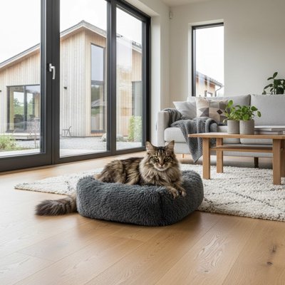 Lit pour Chat