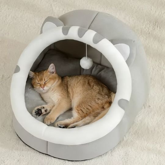 Lit pour chat