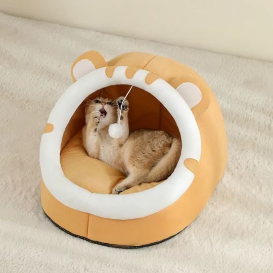 Lit pour chat