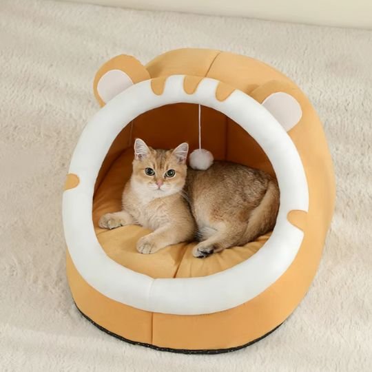 Lit pour chat