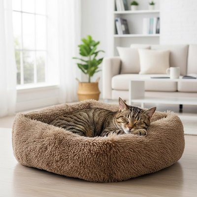 Lit pour Chat
