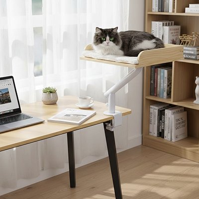 Lit pour Chat 