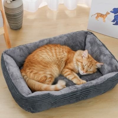 Panier chat
