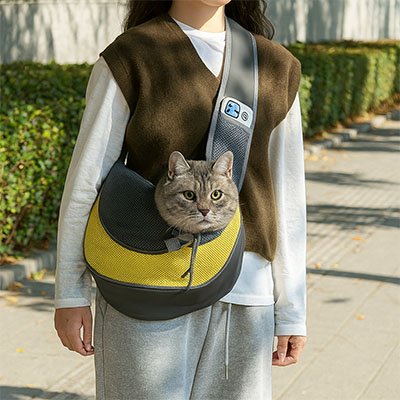 Sac de transport Chat