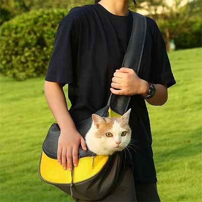 Sac de transport Chat