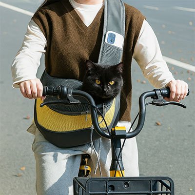 Sac de transport Chat