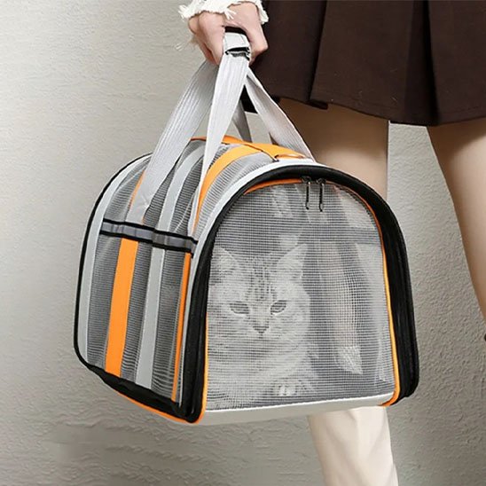 Sac de transport Chat